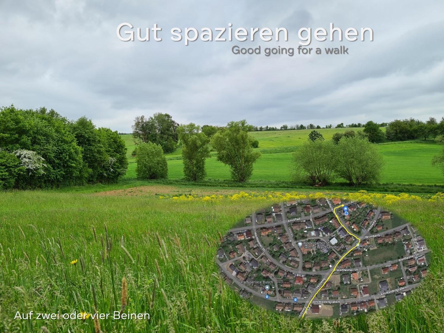 Lichtdurchflutetes Zimmer - Mainwiesen Waldbuttelbrunn Kültér fotó
